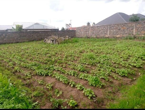 Prime Plots for Sale in Lanet Nakuru