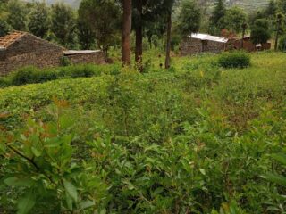 1-acre-land-for-sale-in-Bahati-Nakuru
