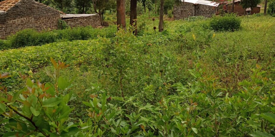 Land for sale in Bahati-Nakuru 1 acre