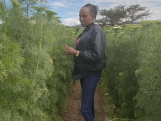 Land-for-Sale-in-Subukia-Kenya