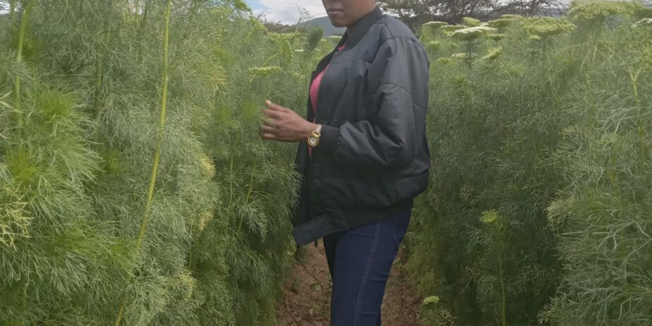 Land for Sale in Subukia, Kenya