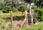 1/2 Acre Plot for Sale in Lanet Mugwathi