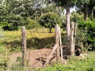 12-Acre-Plot-for-Sale-in-Lanet-Mugwathi
