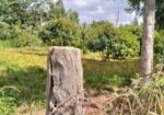 1/2 Acre Plot for Sale in Lanet Mugwathi