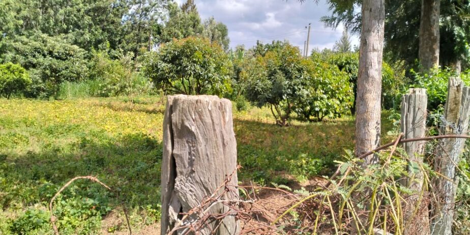 1/2 Acre Plot for Sale in Lanet Mugwathi
